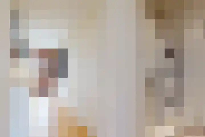 Burgemeester Norbruislaan 278 Utrecht thumbnail 7