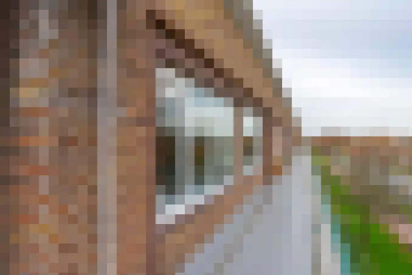 Burgemeester Norbruislaan 284 Utrecht thumbnail 7