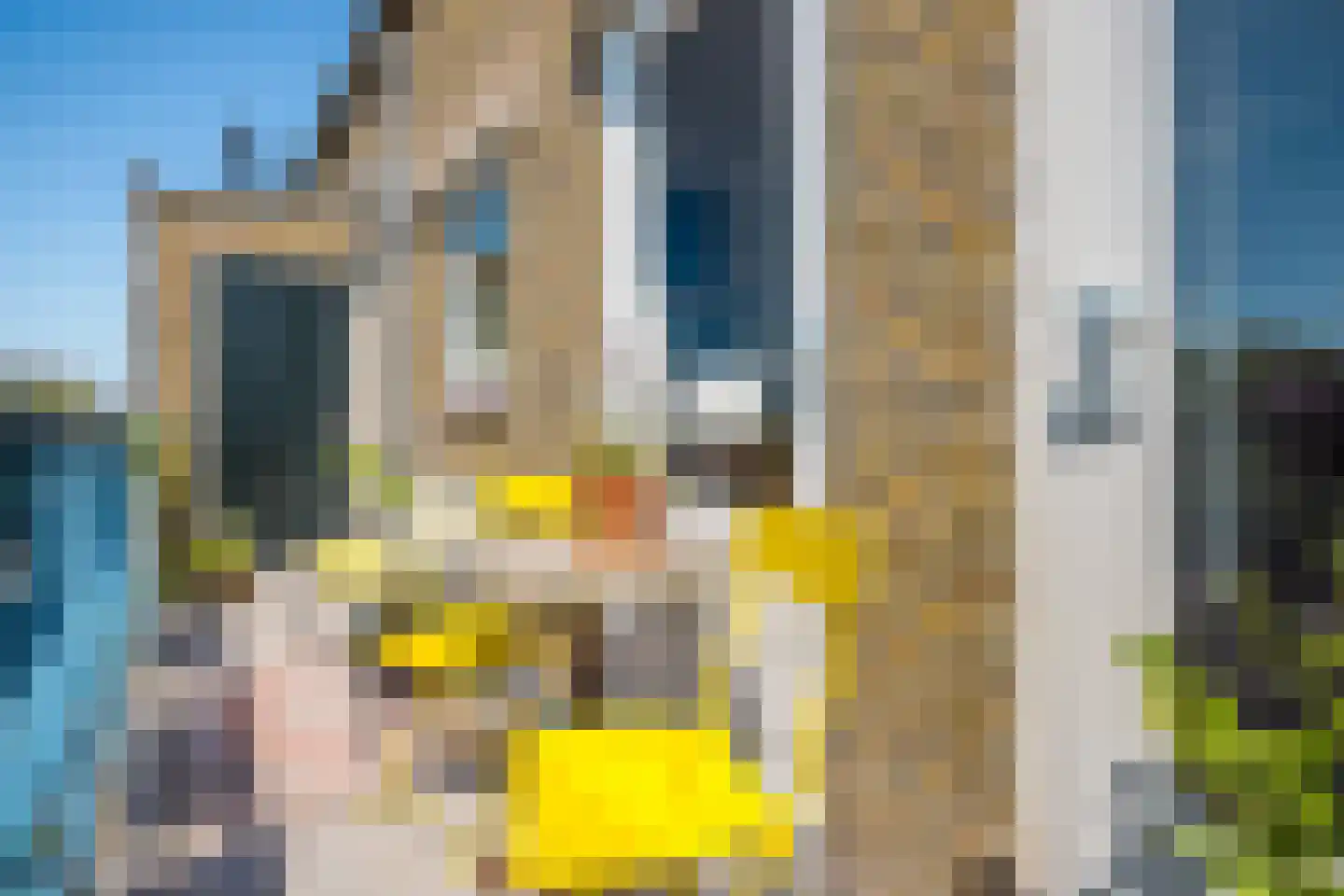 Burgemeester Norbruislaan 334 Utrecht thumbnail 19