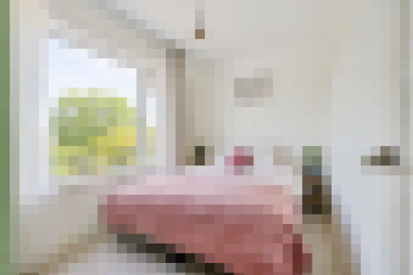 Burgemeester Norbruislaan 334 Utrecht thumbnail 21