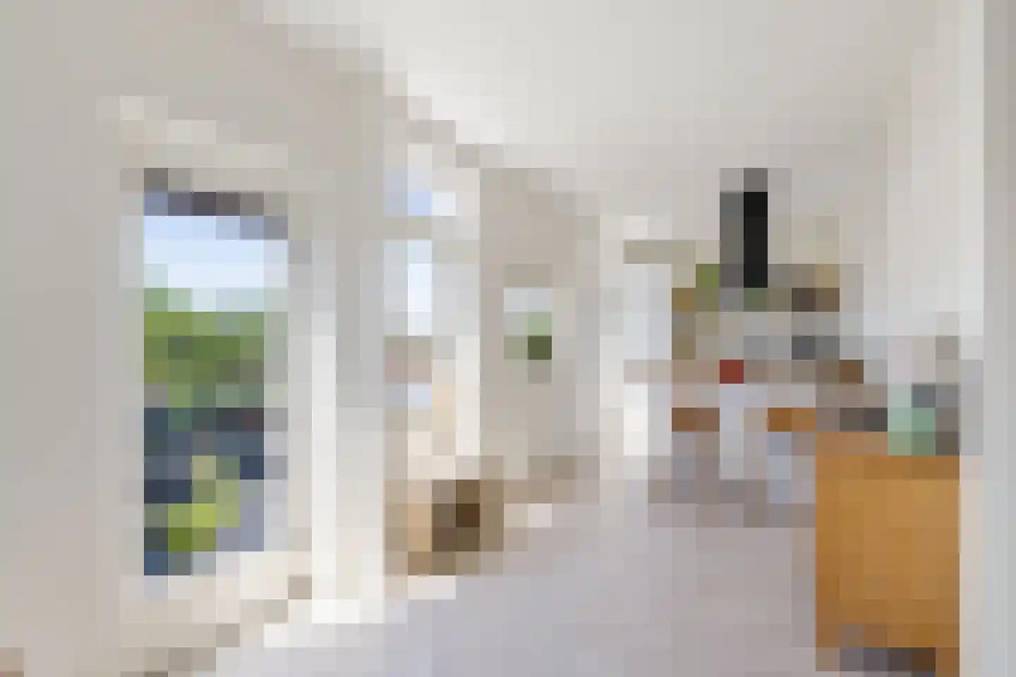 Burgemeester Norbruislaan 334 Utrecht thumbnail 8