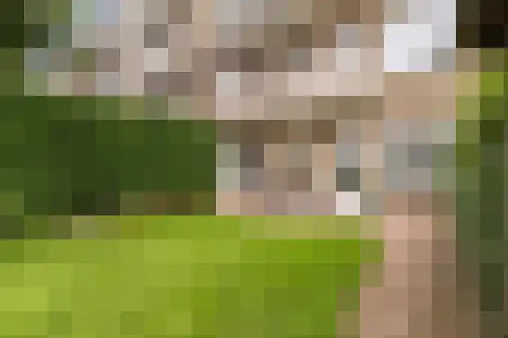 Burgemeester Norbruislaan 340 Utrecht thumbnail 13