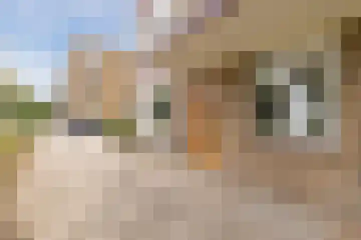 Burgemeester Norbruislaan 340 Utrecht thumbnail 34