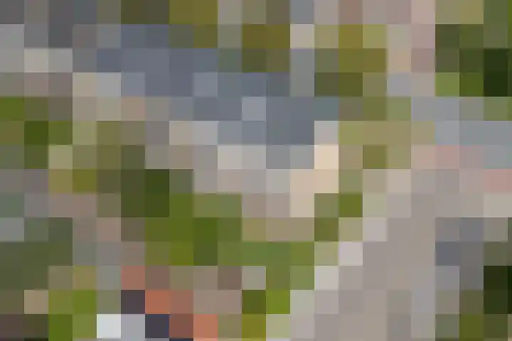 Burgemeester Norbruislaan 340 Utrecht thumbnail 38