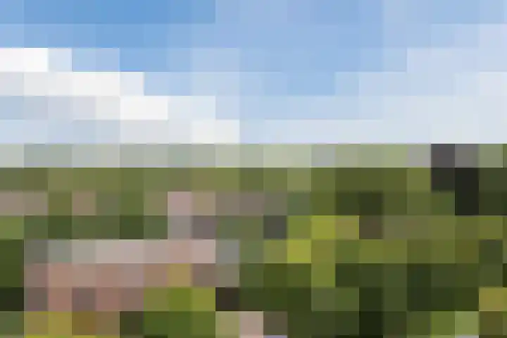 Burgemeester Norbruislaan 340 Utrecht thumbnail 42