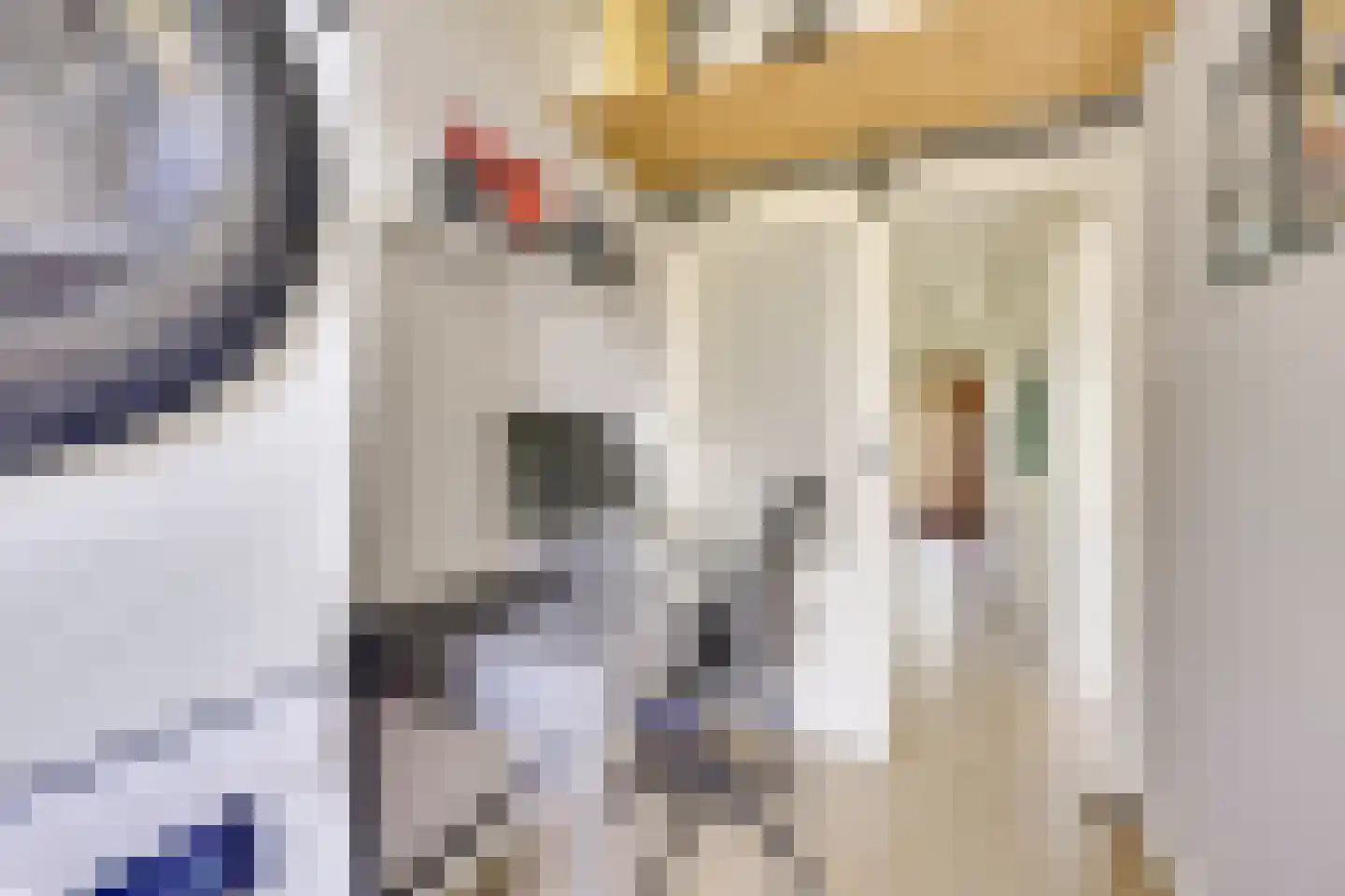 Burgemeester Norbruislaan 368 Utrecht thumbnail 26
