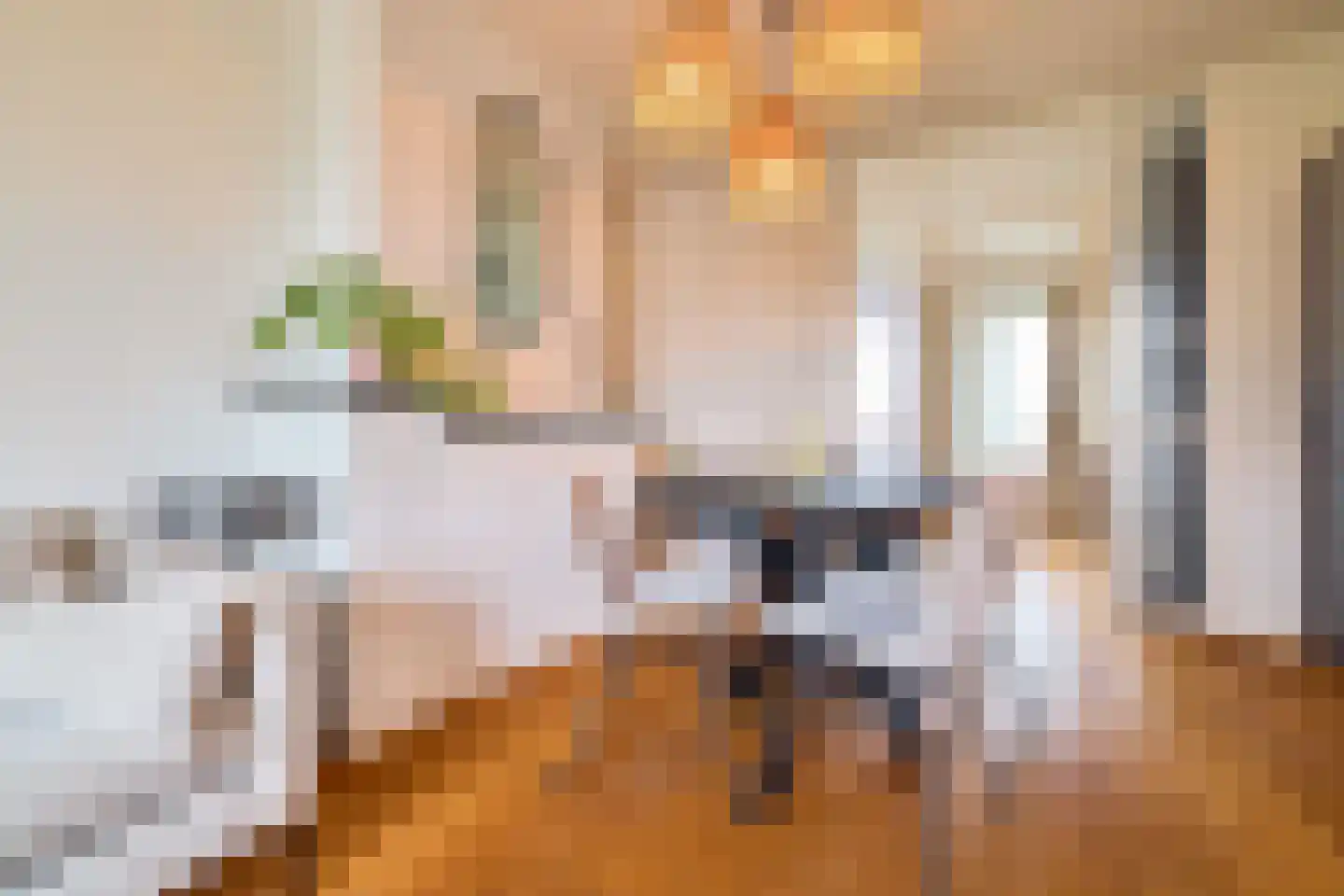 Burgemeester Norbruislaan 388 Utrecht thumbnail 6