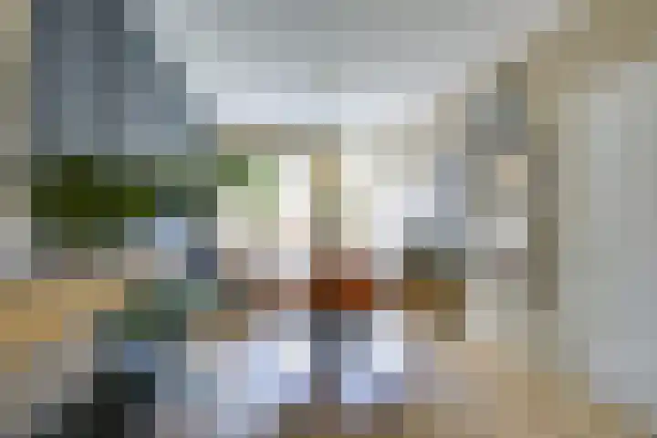 Burgemeester Norbruislaan 418 Utrecht thumbnail 13