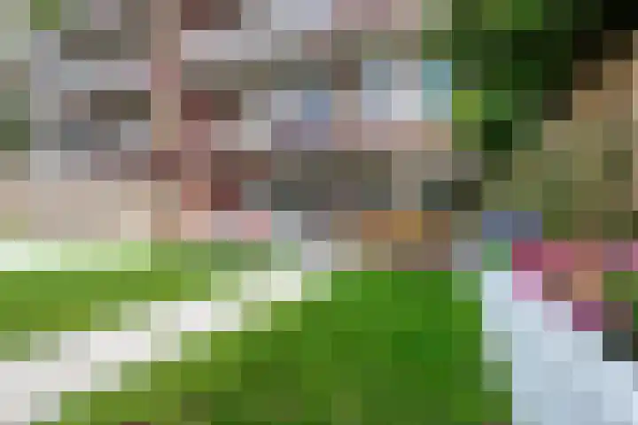 Burgemeester Norbruislaan 418 Utrecht thumbnail 34