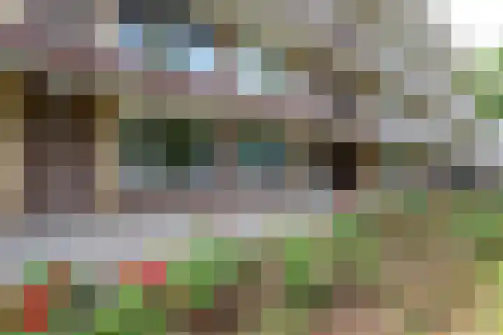 Burgemeester Norbruislaan 418 Utrecht thumbnail 35