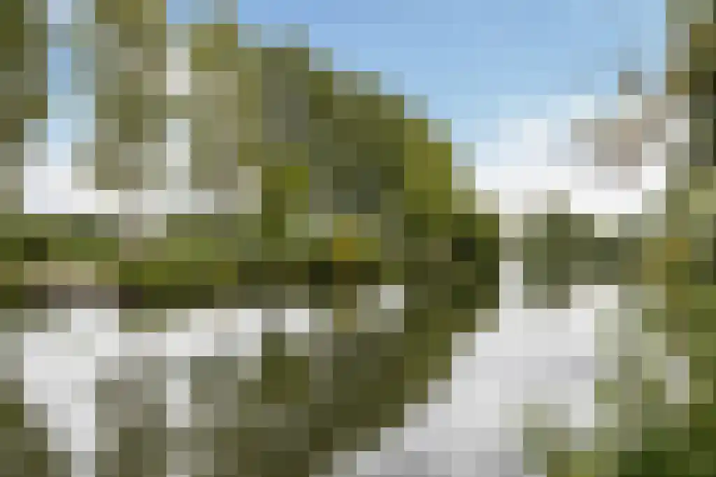 Burgemeester Norbruislaan 422 Utrecht thumbnail 32