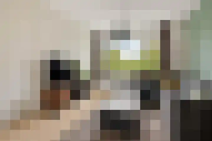 Burgemeester Norbruislaan 446 Utrecht thumbnail 12