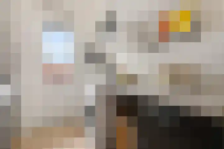 Burgemeester Norbruislaan 446 Utrecht thumbnail 15