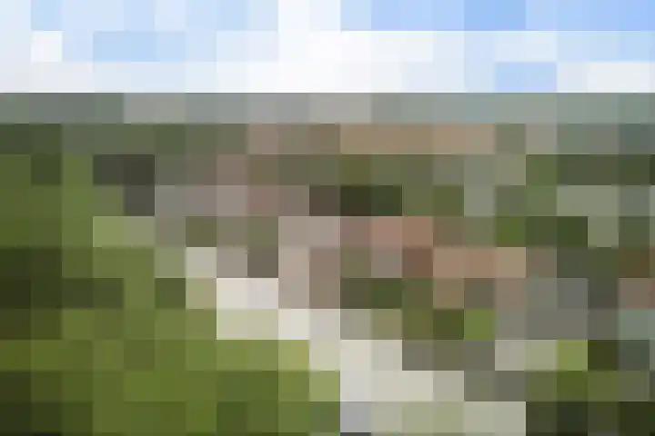 Burgemeester Norbruislaan 446 Utrecht thumbnail 23