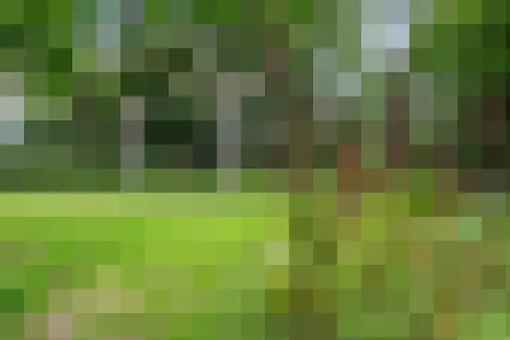 Burgemeester Norbruislaan 446 Utrecht thumbnail 27