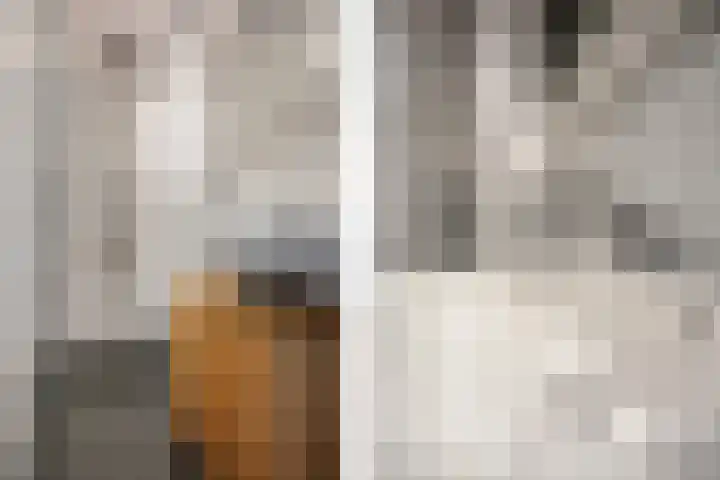 Burgemeester Norbruislaan 446 Utrecht thumbnail 5
