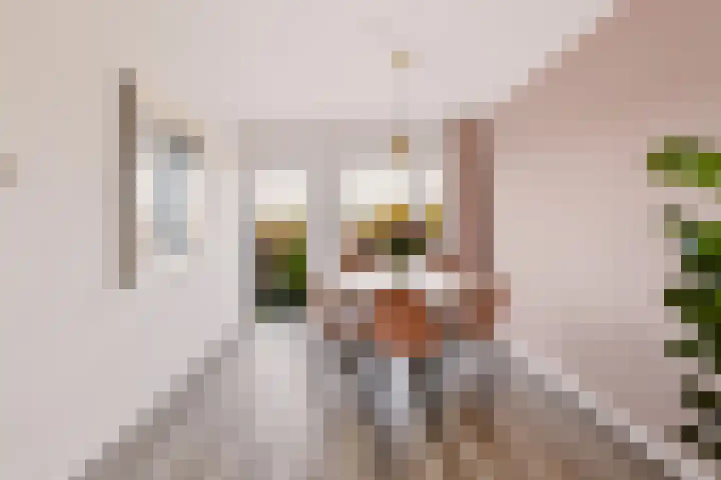 Burgemeester Norbruislaan 454 Utrecht thumbnail 15
