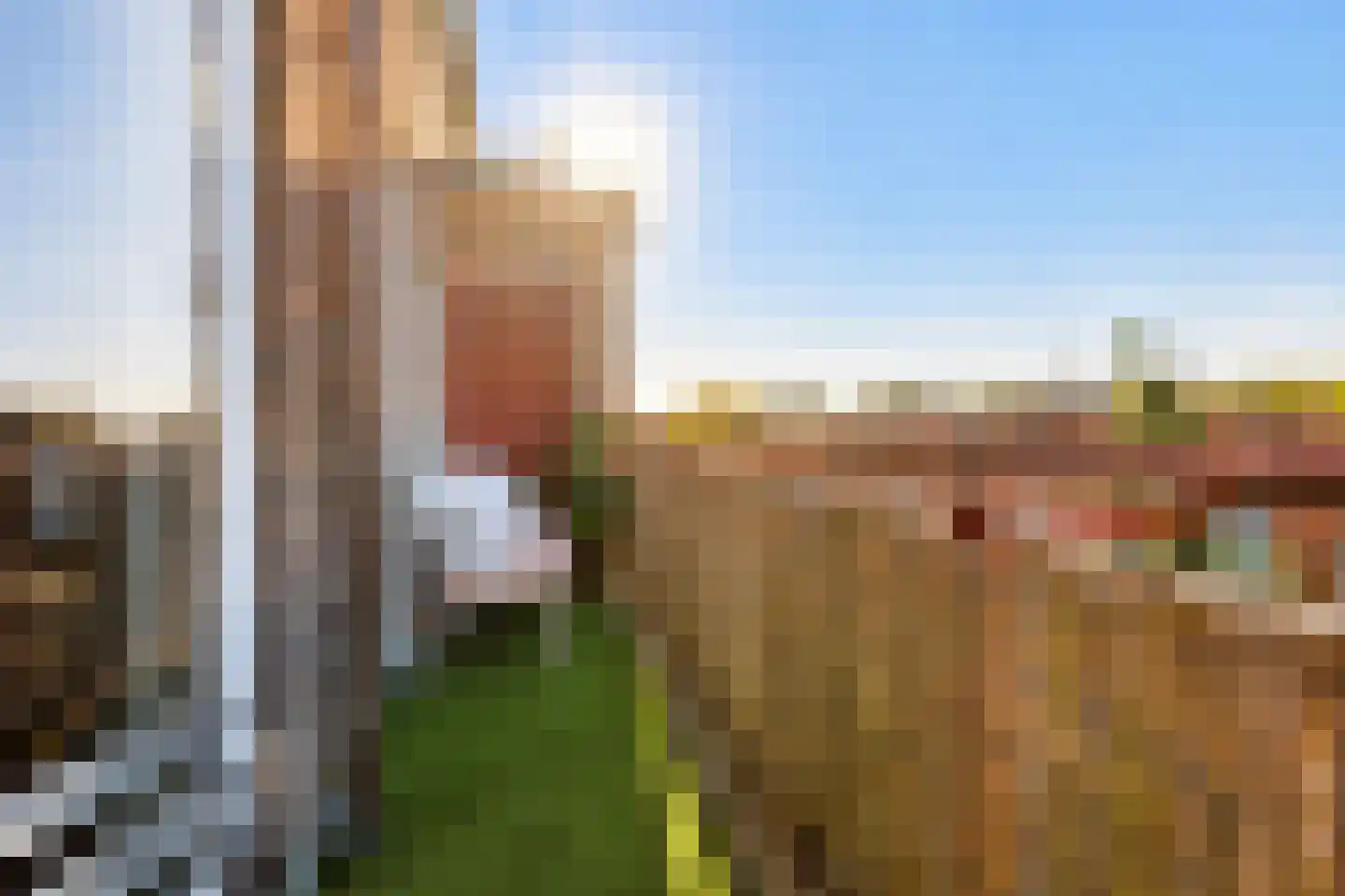 Burgemeester Norbruislaan 454 Utrecht thumbnail 21
