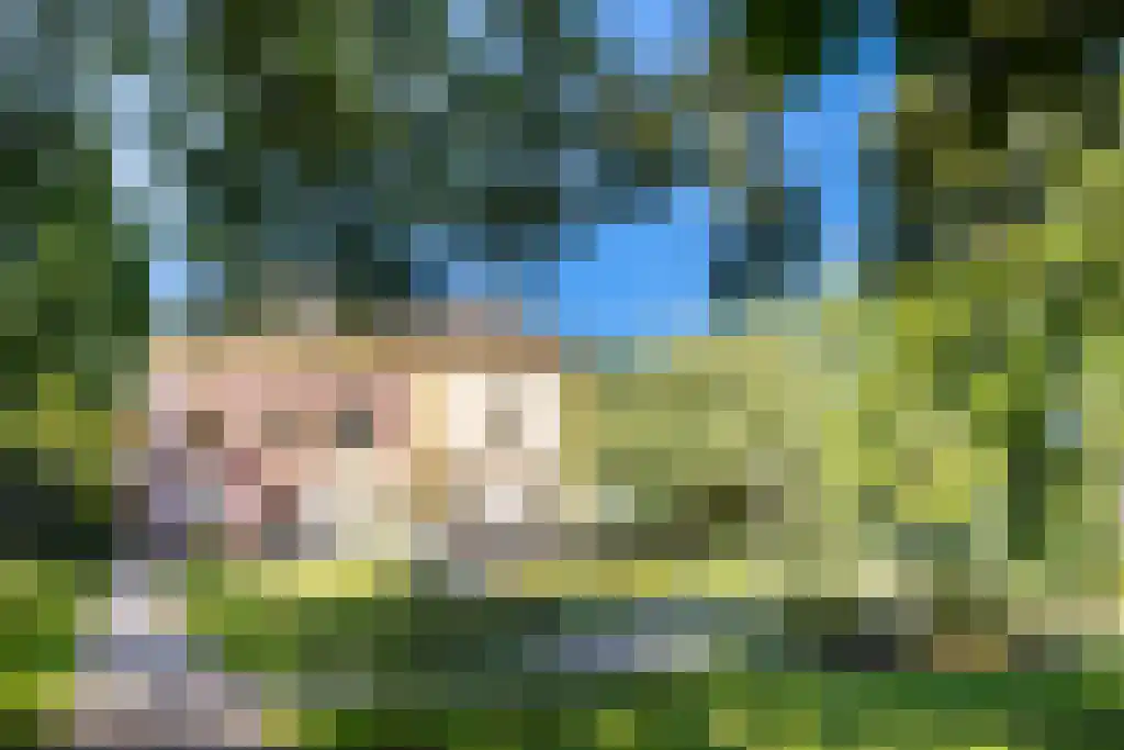 Burgemeester Norbruislaan 454 Utrecht thumbnail 39