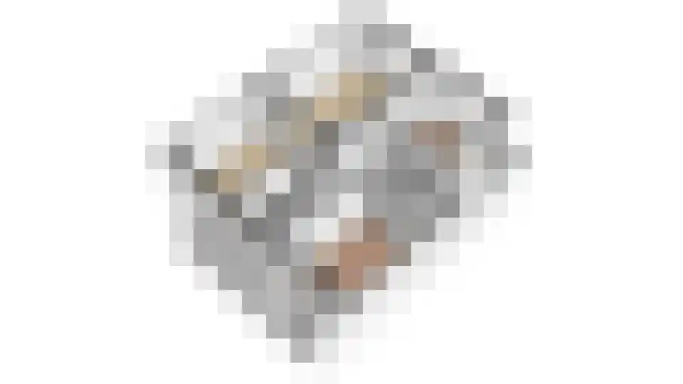 Burgemeester Norbruislaan 454 Utrecht thumbnail 43