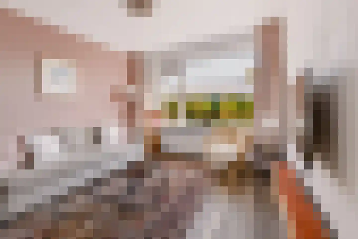 Burgemeester Norbruislaan 454 Utrecht thumbnail 9