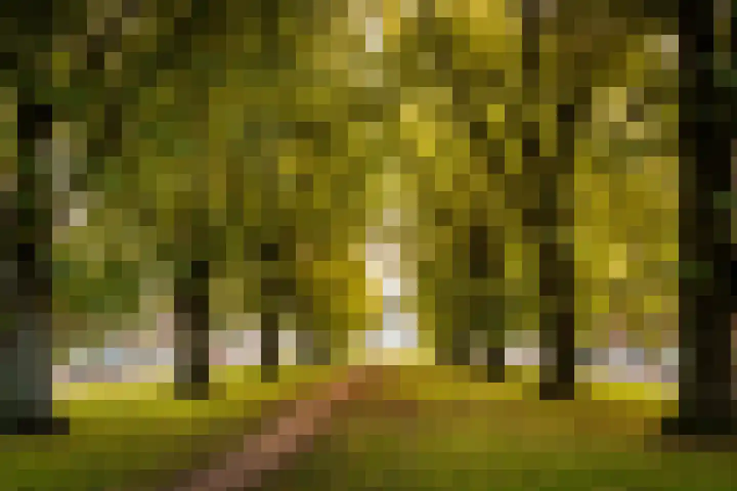 Burgemeester Norbruislaan 456 Utrecht thumbnail 32