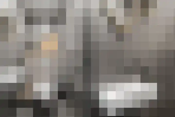 Burgemeester Norbruislaan 480 Utrecht thumbnail 23