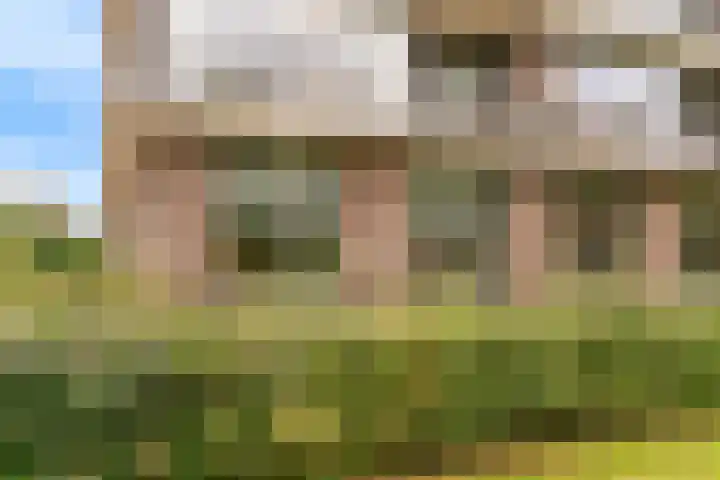 Burgemeester Norbruislaan 482 Utrecht thumbnail 18