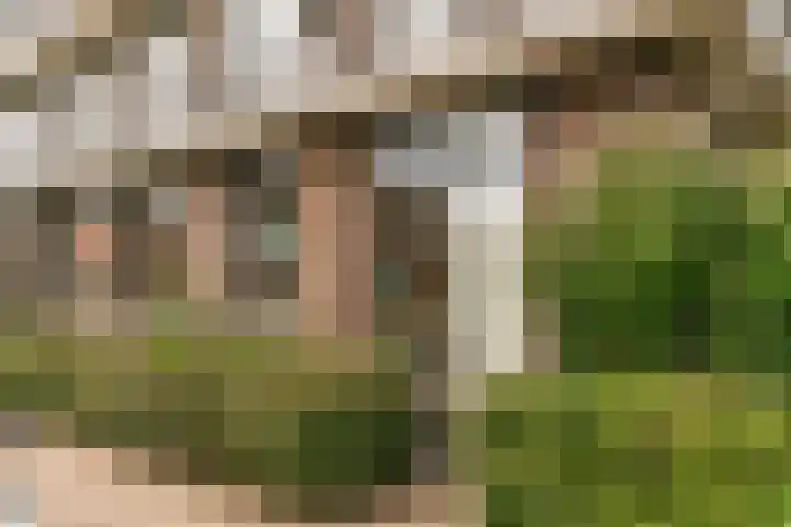 Burgemeester Norbruislaan 482 Utrecht thumbnail 19