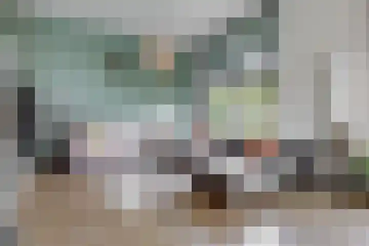 Burgemeester Norbruislaan 482 Utrecht thumbnail 5