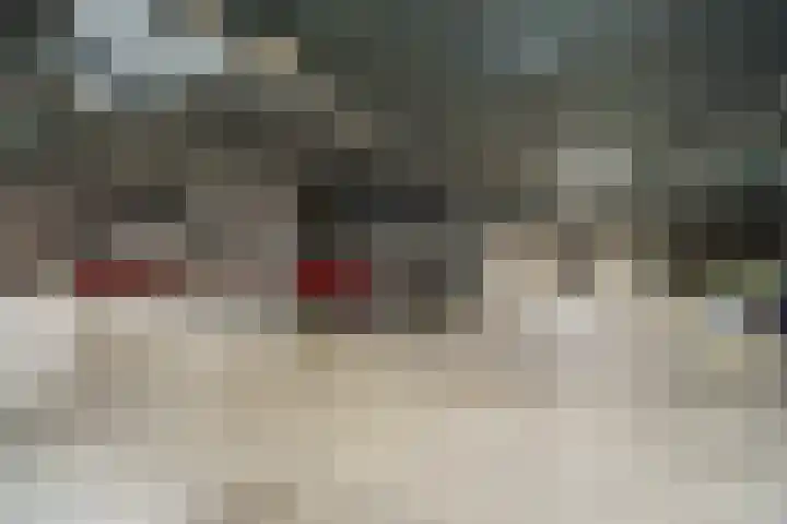 Burgemeester Norbruislaan 484 Utrecht thumbnail 33