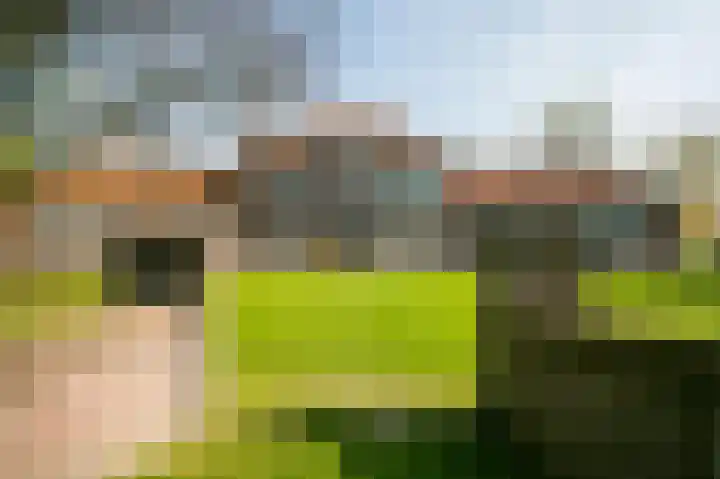 Burgemeester Norbruislaan 492 Utrecht thumbnail 27
