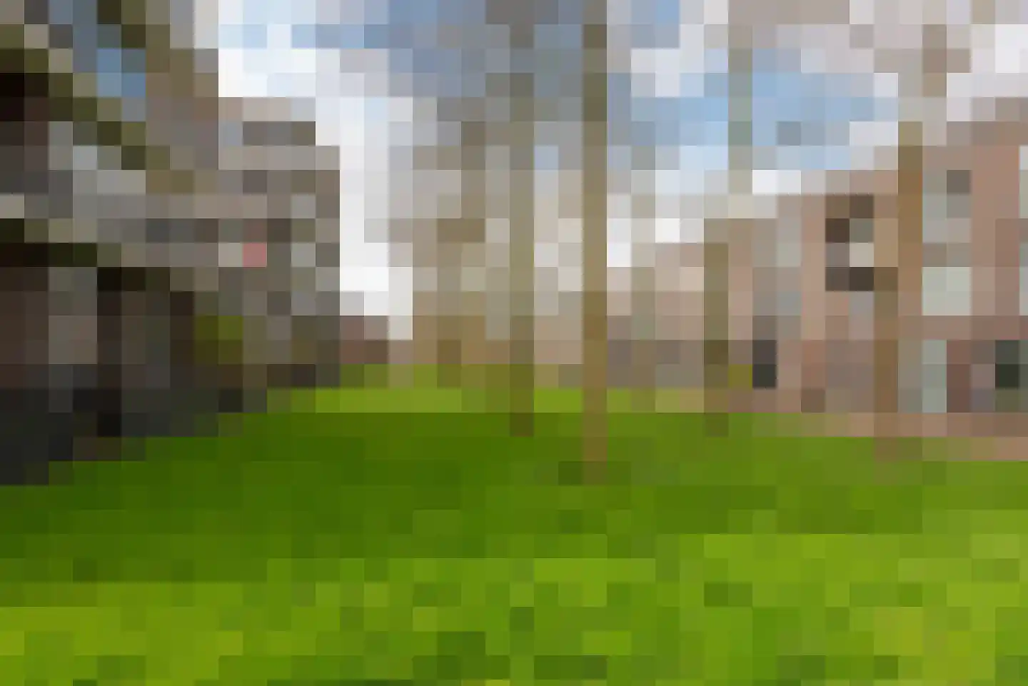 Burgemeester Norbruislaan 510 Utrecht thumbnail 36