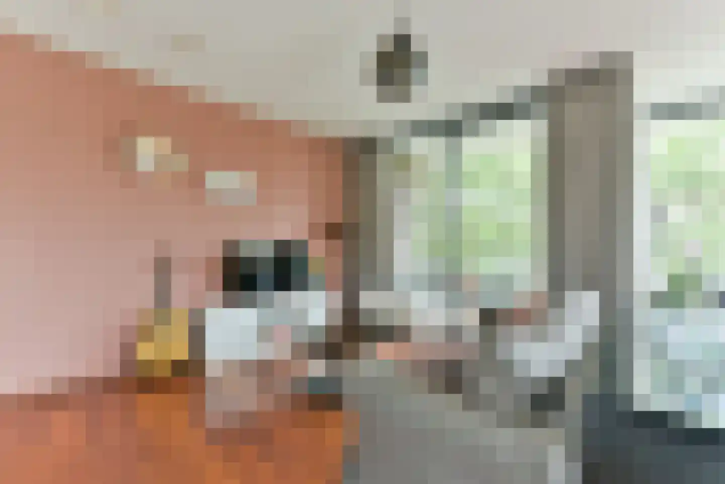 Burgemeester Norbruislaan 516 Utrecht thumbnail 15