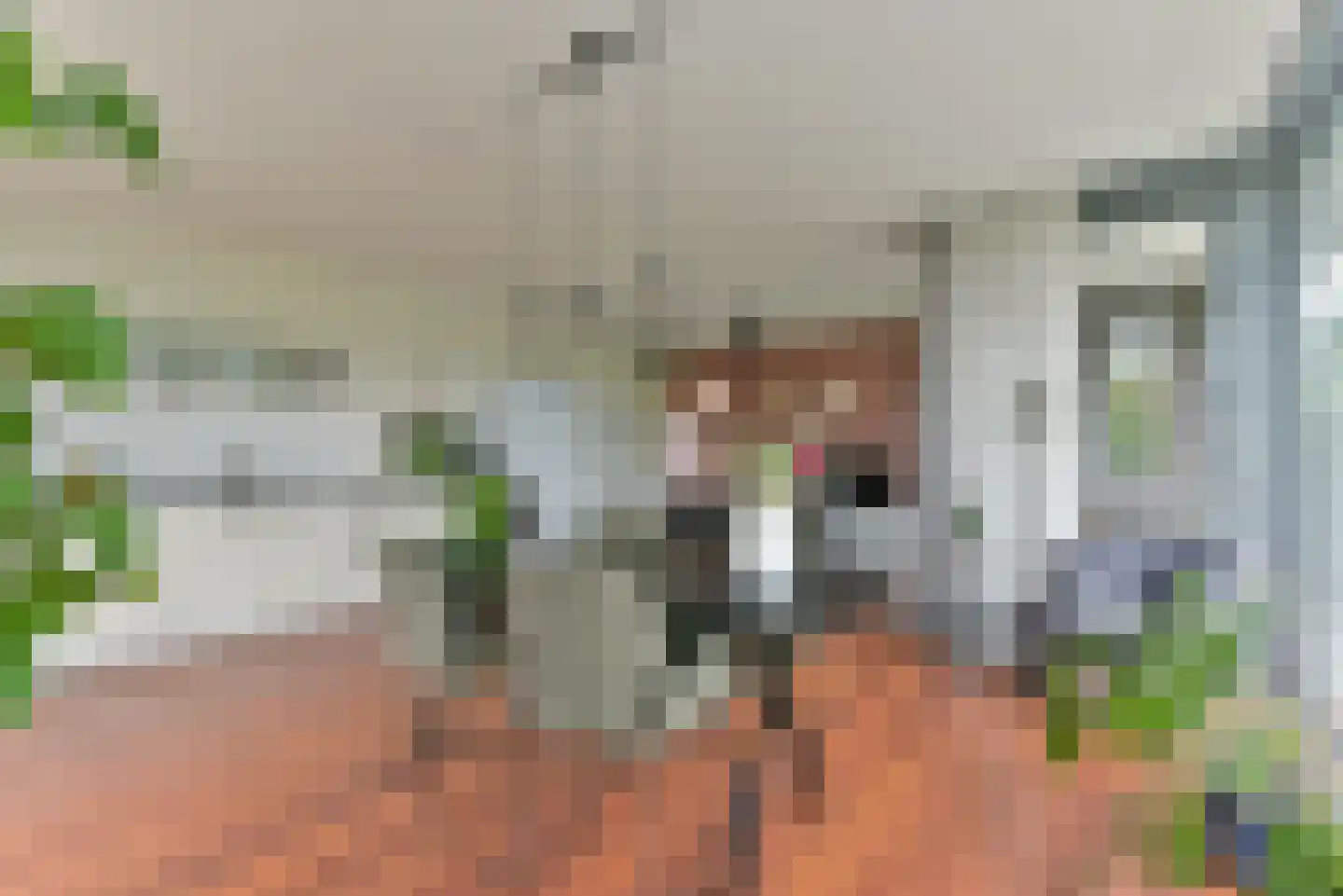Burgemeester Norbruislaan 516 Utrecht thumbnail 4