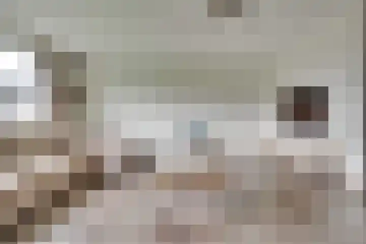 Burgemeester Norbruislaan 566 Utrecht thumbnail 4
