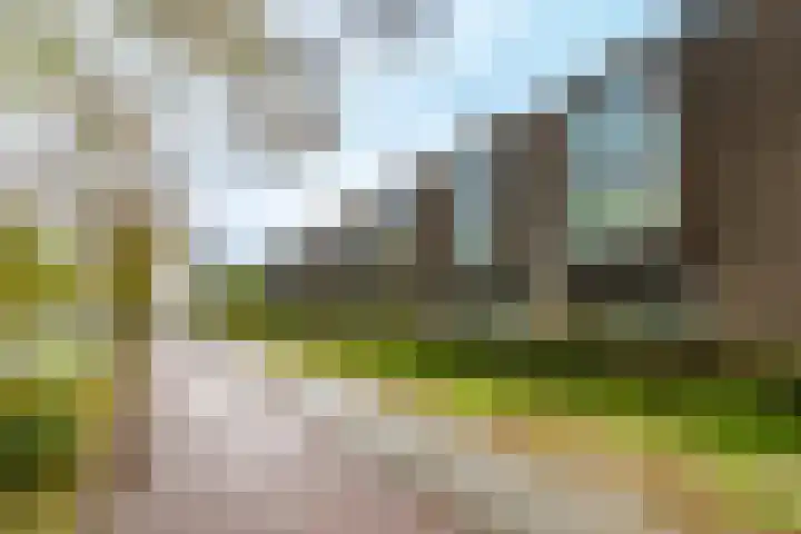 Burgemeester Norbruislaan 566 Utrecht thumbnail 45