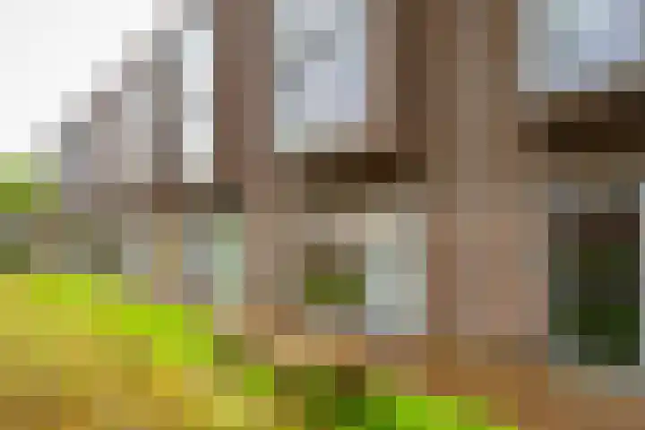 Burgemeester Norbruislaan 566 Utrecht thumbnail 46