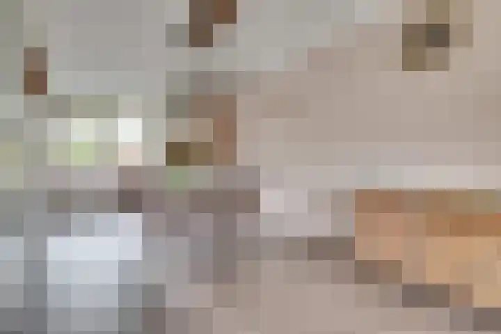 Burgemeester Norbruislaan 566 Utrecht thumbnail 6