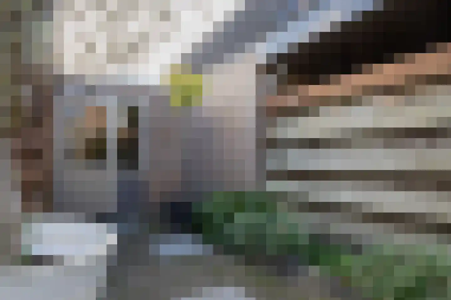 Burgemeester Notermansstraat 9 Best thumbnail 34