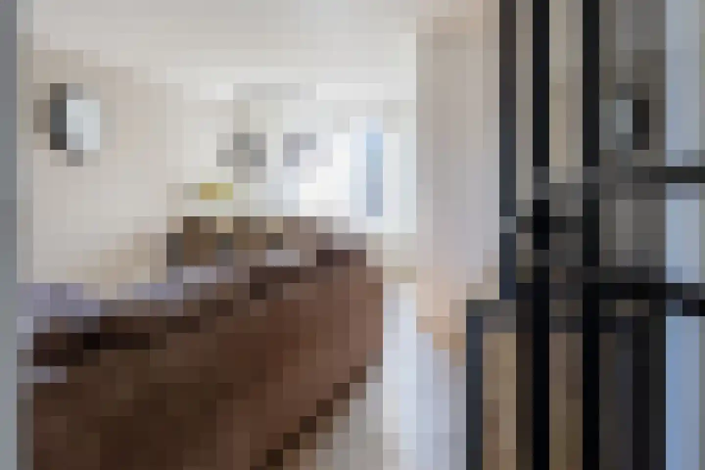 Burgemeester Notermansstraat 9 Best thumbnail 8