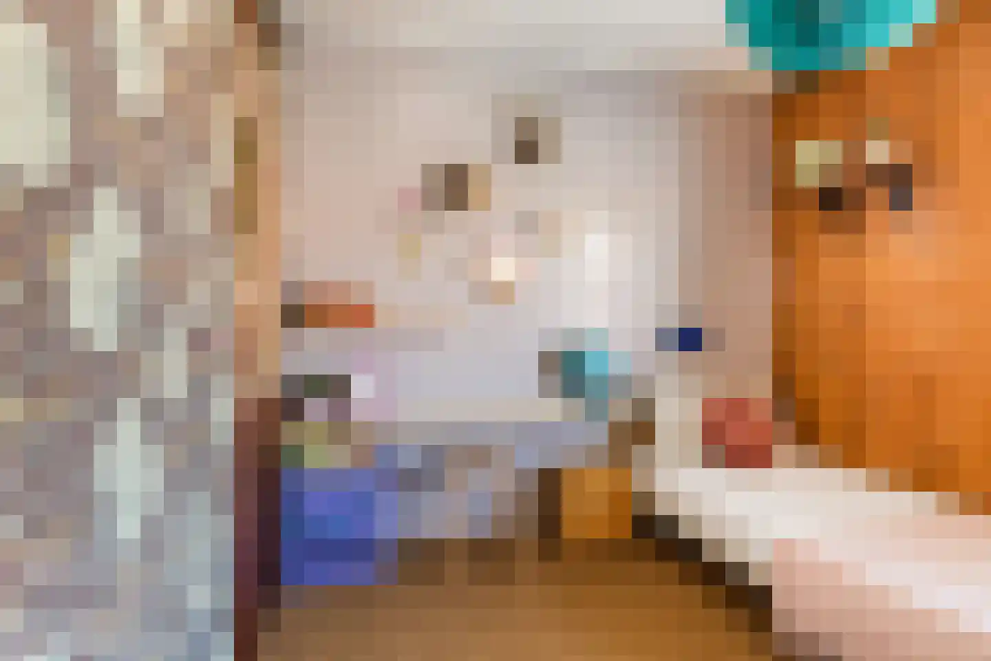 Burgemeester Okmastraat 9 Franeker thumbnail 33