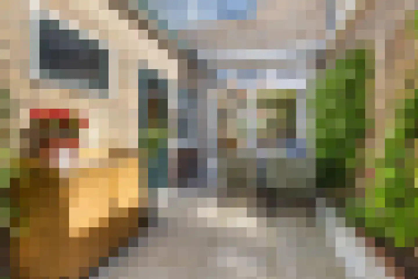Burgemeester Okmastraat 9 Franeker thumbnail 39