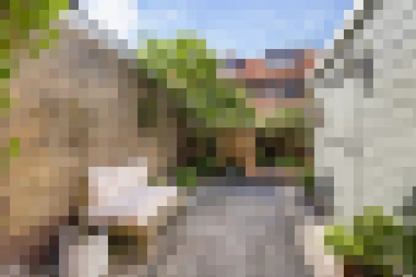 Burgemeester Okmastraat 9 Franeker thumbnail 40