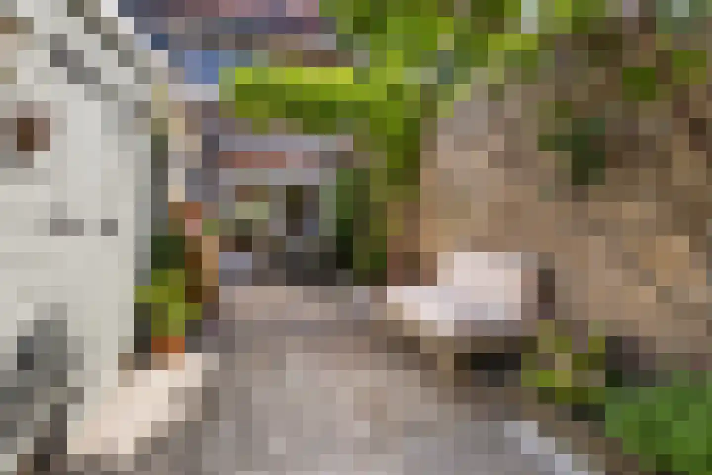 Burgemeester Okmastraat 9 Franeker thumbnail 42