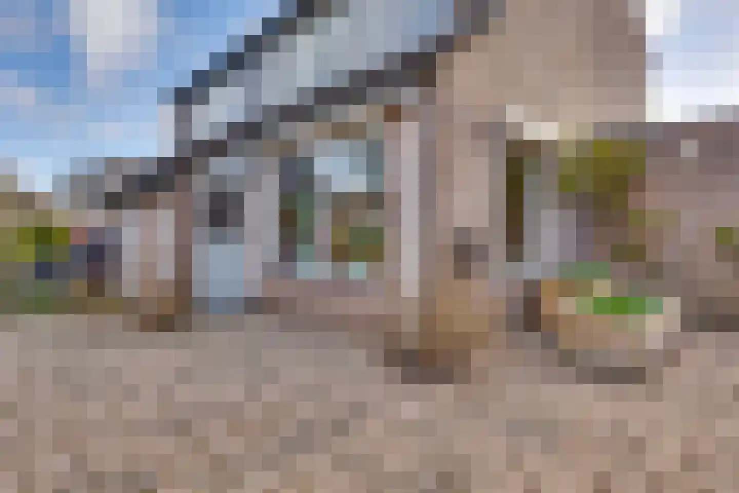 Burgemeester Oldenhoflaan 71 Kampen thumbnail 10