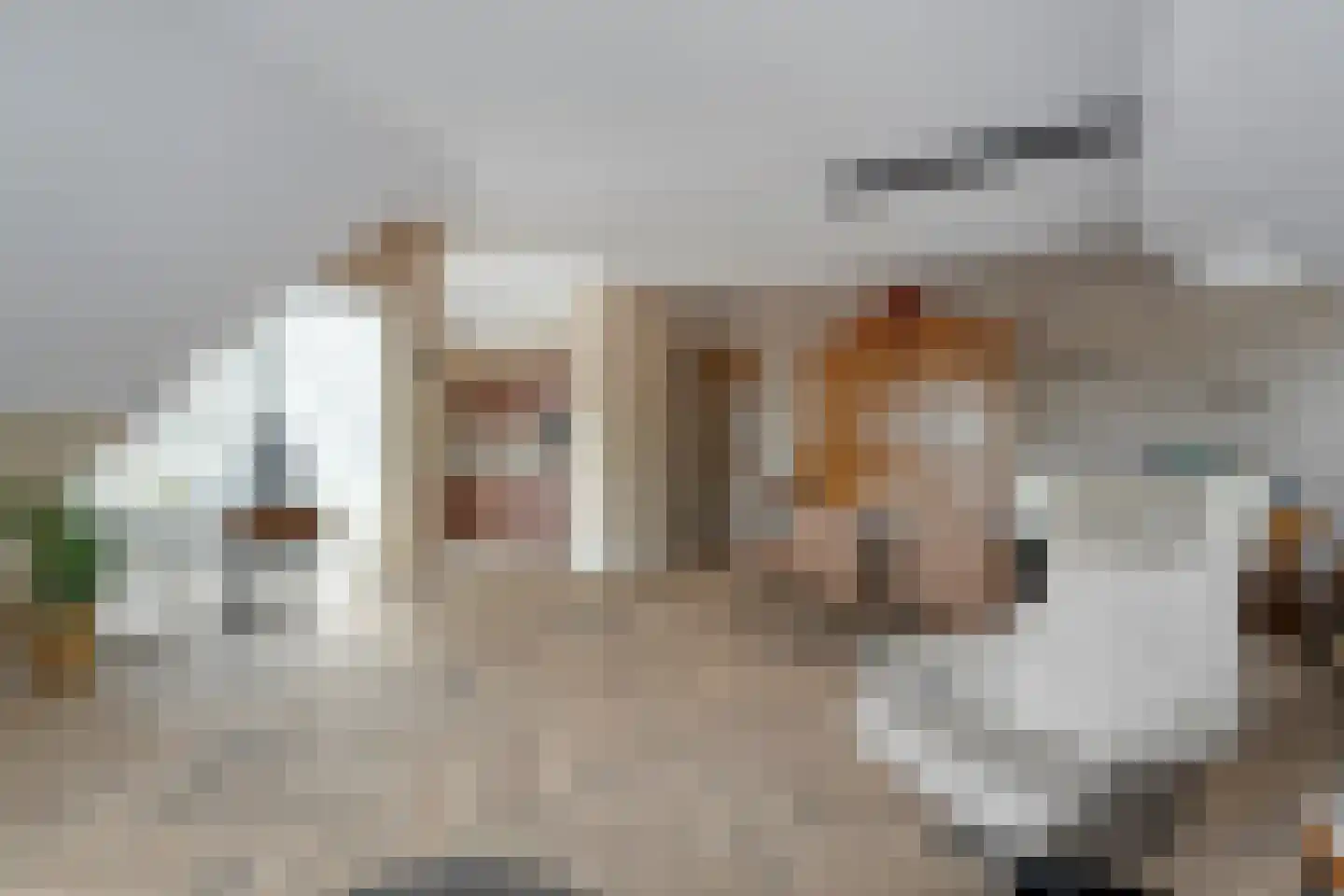 Burgemeester Oprellaan 1 h Bergentheim thumbnail 25