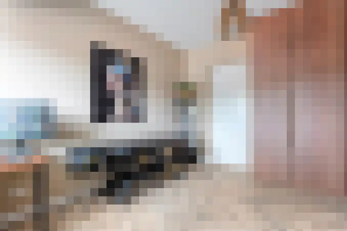 Burgemeester Oprellaan 1 h Bergentheim thumbnail 32
