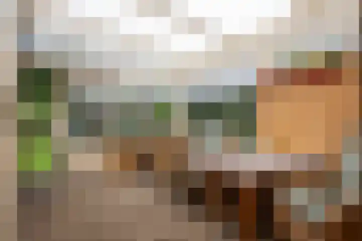 Burgemeester Osselaan 1 Schoonebeek thumbnail 13