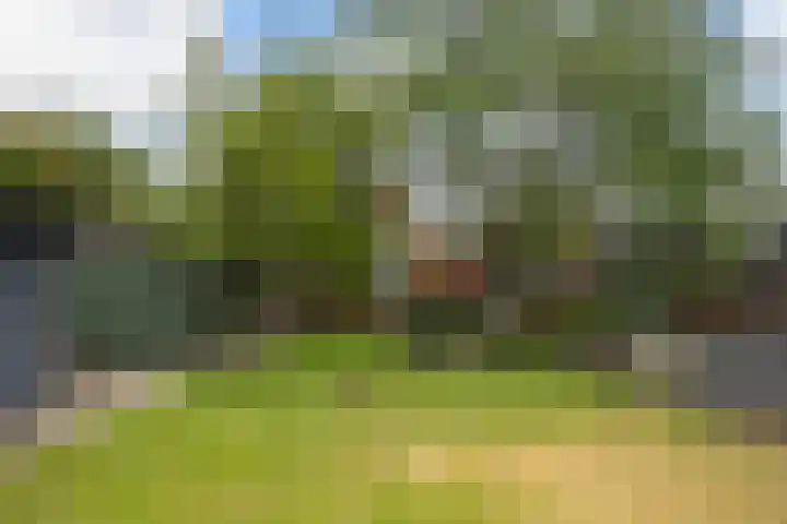 Burgemeester Osselaan 1 Schoonebeek thumbnail 8